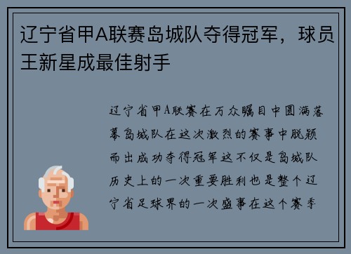 辽宁省甲A联赛岛城队夺得冠军，球员王新星成最佳射手