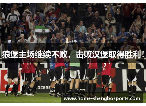 狼堡主场继续不败，击败汉堡取得胜利！