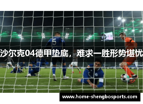 沙尔克04德甲垫底，难求一胜形势堪忧