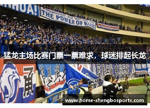 猛龙主场比赛门票一票难求，球迷排起长龙
